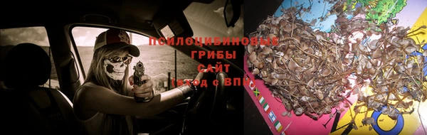 спайс Алексеевка
