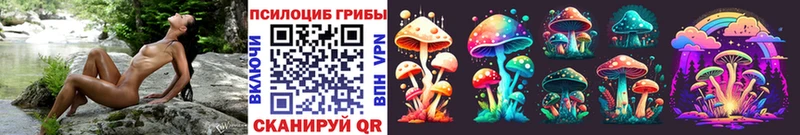 цена   Владивосток  даркнет какой сайт  Галлюциногенные грибы Psilocybe 