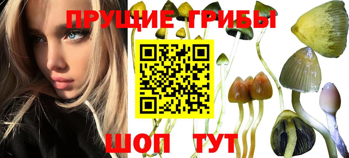 Псилоцибиновые грибы MAGIC MUSHROOMS Владивосток