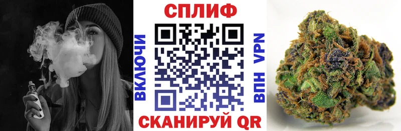 купить наркотики сайты  Владивосток  Бошки Шишки SATIVA & INDICA 