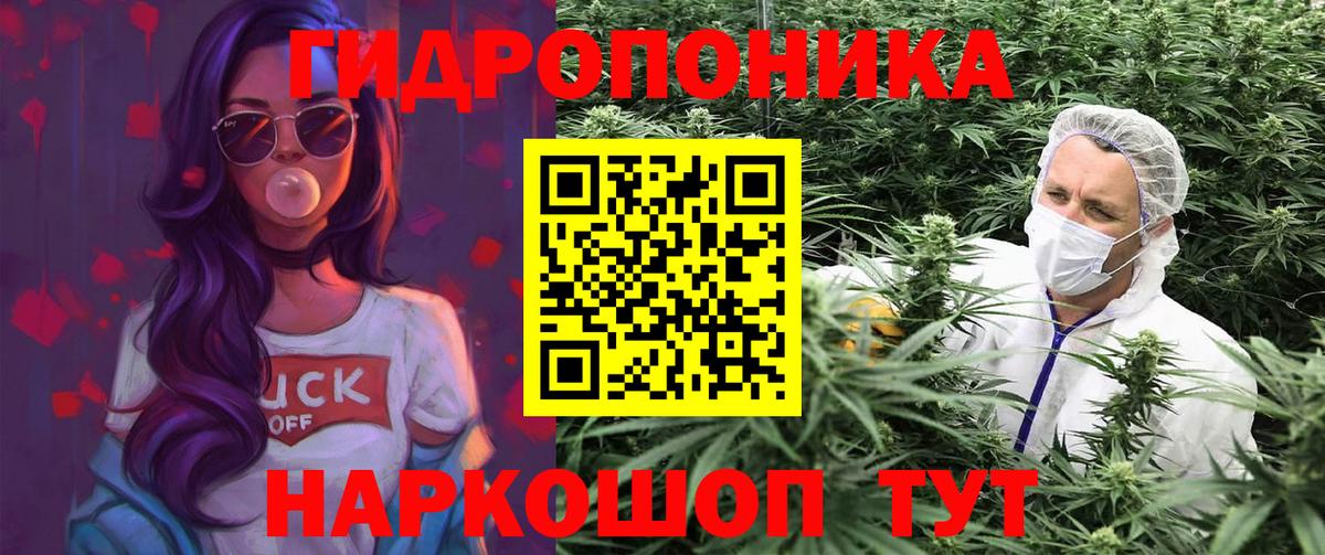 Каннабис сатива Владивосток